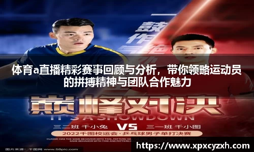 体育a直播精彩赛事回顾与分析，带你领略运动员的拼搏精神与团队合作魅力