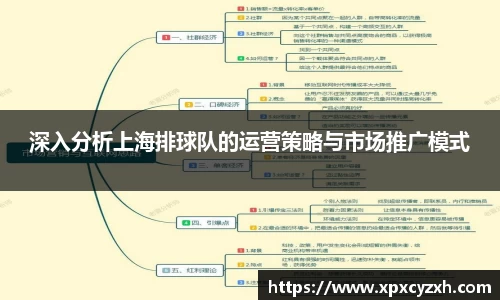 深入分析上海排球队的运营策略与市场推广模式