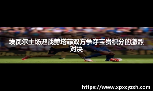VSport体育